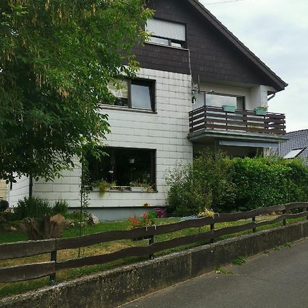 Ferienwohnung-Ameisenhardt シュライデン エクステリア 写真