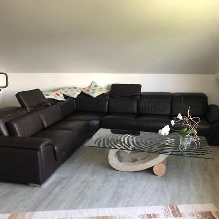 Ferienwohnung-Ameisenhardt シュライデン エクステリア 写真