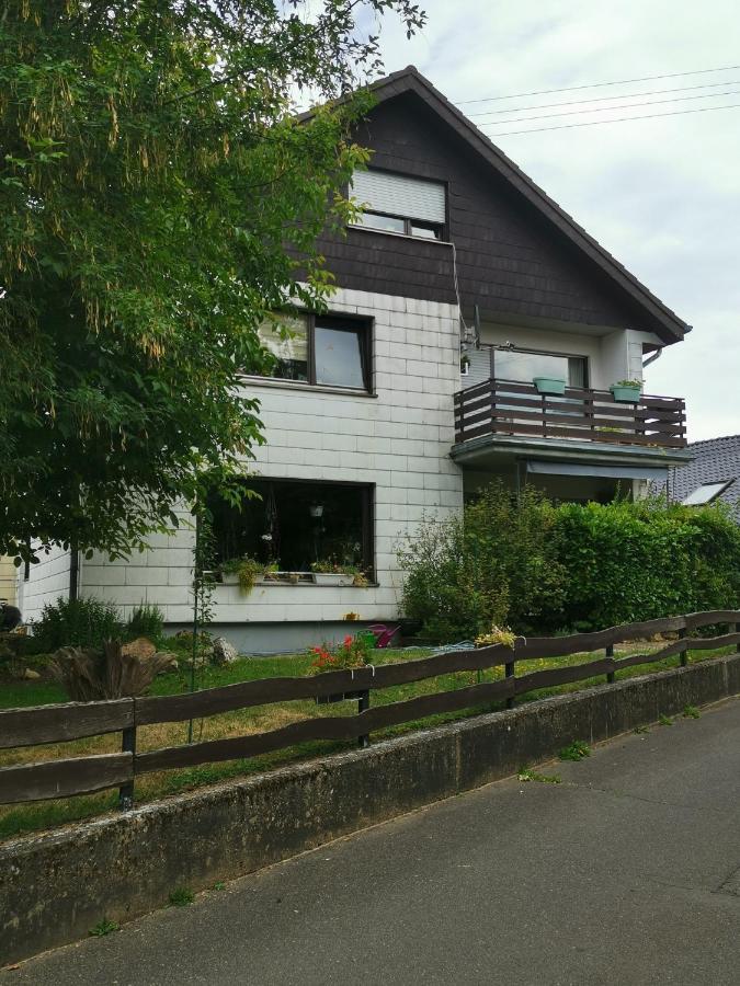Ferienwohnung-Ameisenhardt シュライデン エクステリア 写真